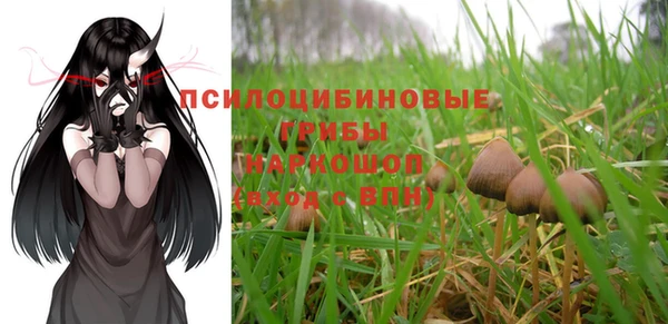 дживик Новосибирск