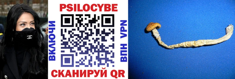 Купить где  Лихославль  Псилоцибиновые грибы GOLDEN TEACHER 