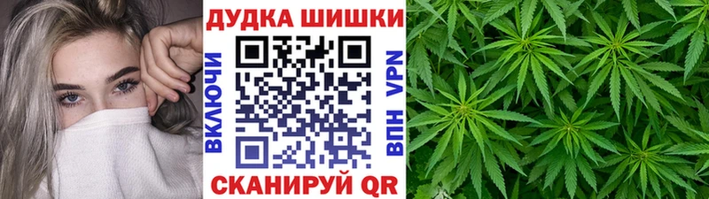 Бошки Шишки планчик Лихославль